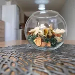 Cozy Apartment, Close To The Sea C4